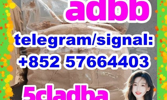 Medium with watermark 51