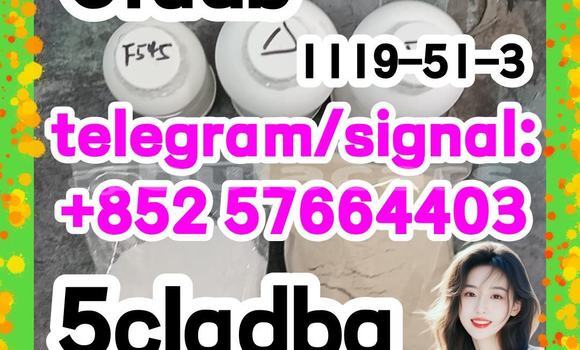 Medium with watermark 57