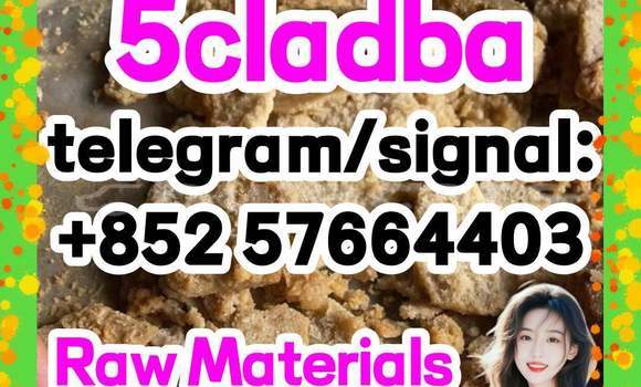 Medium with watermark 53