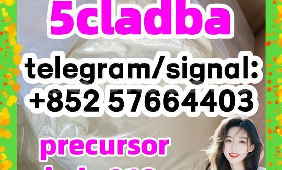 Medium with watermark 59