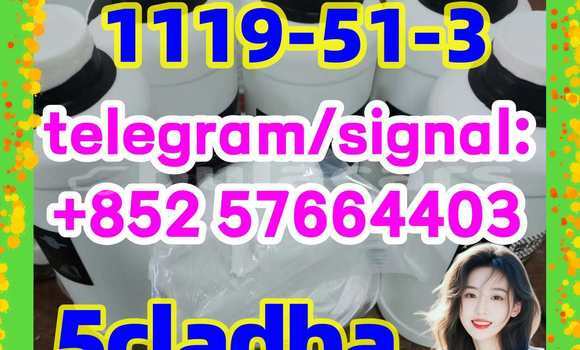Medium with watermark 55
