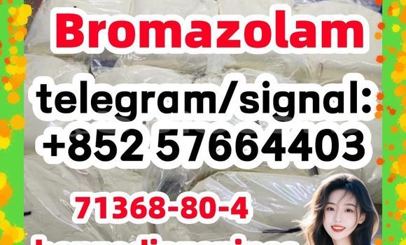 Medium with watermark b1