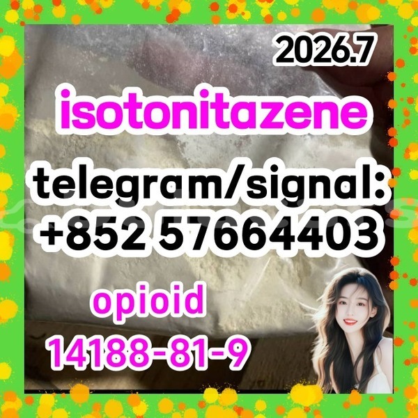 Big with watermark i1