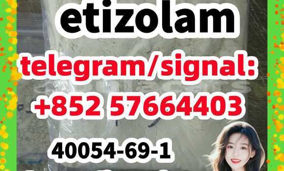 Medium with watermark e1