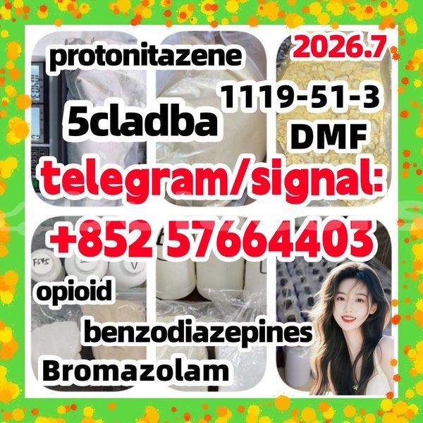 Big with watermark z1