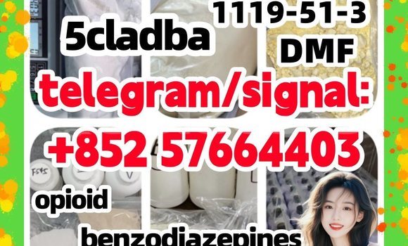 Medium with watermark z1