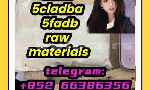 Medium with watermark 2