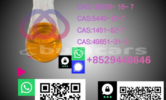 Medium with watermark %e5%89%af%e6%9c%ac %e6%b8%85%e6%96%b0%e9%a3%8e%e5%b9%bc%e7%8a%ac%e7%b2%ae%e4%bf%83%e9%94%80%e5%ae%9d%e8%b4%9d%e4%b8%bb%e5%9b%be 93