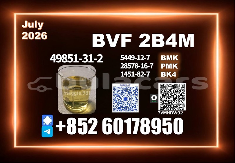 Big with watermark bvf cas 49851 31 2 25kg barrel package