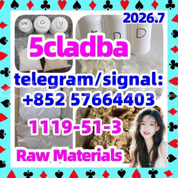 Big with watermark 51