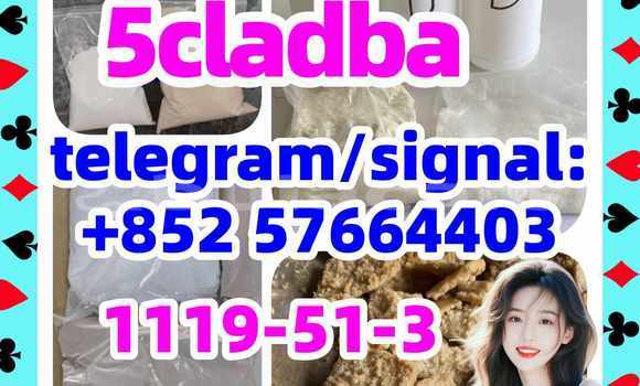 Medium with watermark 51