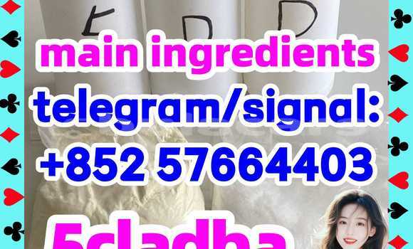 Medium with watermark 53