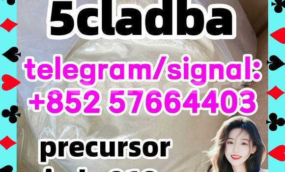 Medium with watermark 54