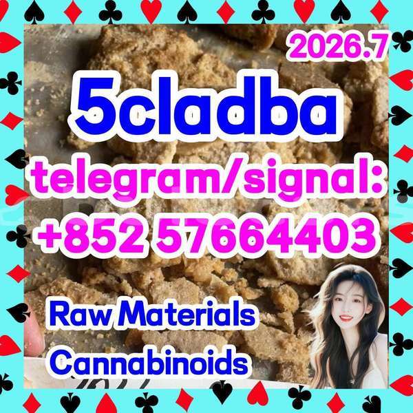 Big with watermark 55