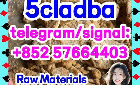 Medium with watermark 55