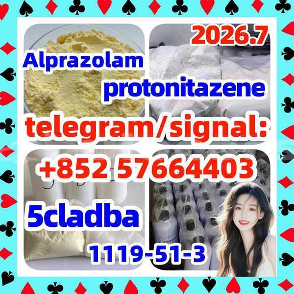 Big with watermark z1