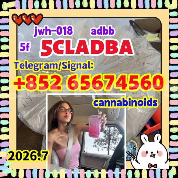 Big with watermark sdvrgvervrb %e5%89%af%e6%9c%ac