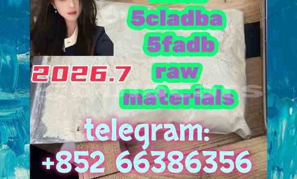 Medium with watermark 4