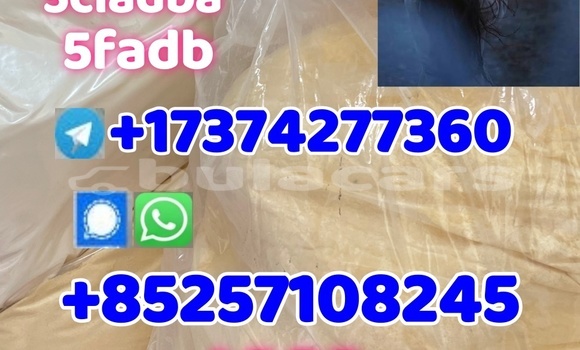 Buy Used Aermacchi Ala D\Oro Black Bike in Deuba in Central Buy Used Aermacchi Ala D\Oro Black Bike in Deuba in Central