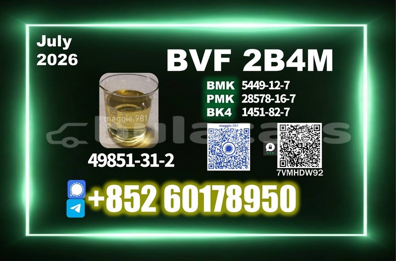 Big with watermark bvf cas 49851 31 2 high standard production