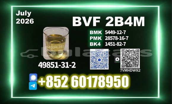 Medium with watermark bvf cas 49851 31 2 high standard production