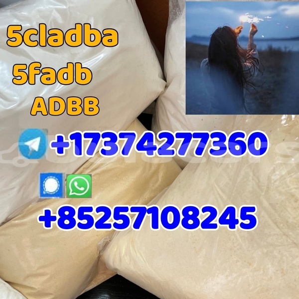 Big with watermark 00
