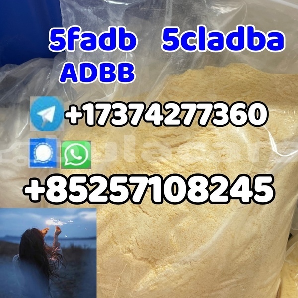 Big with watermark ajp galp central deuba 27706