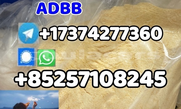 Buy Used Ajp Galp Black Bike in Deuba in Central