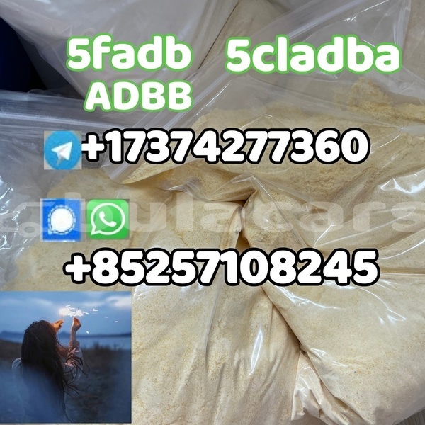 Big with watermark aprilia af1 northern nabua 27707
