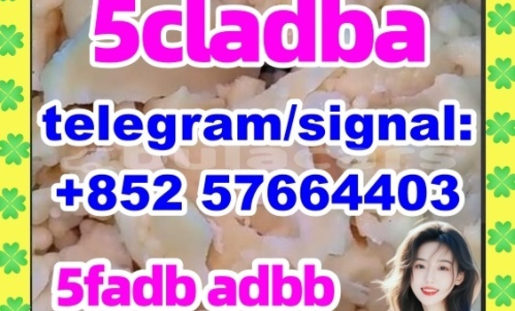 Medium with watermark 56