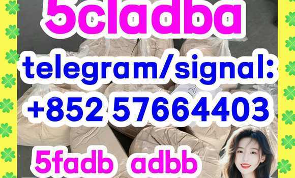 Medium with watermark 58