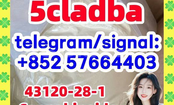 Medium with watermark 59