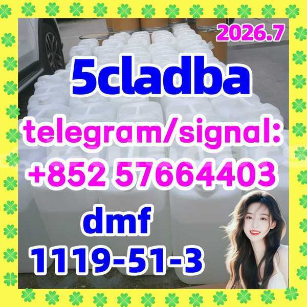 Big with watermark 510