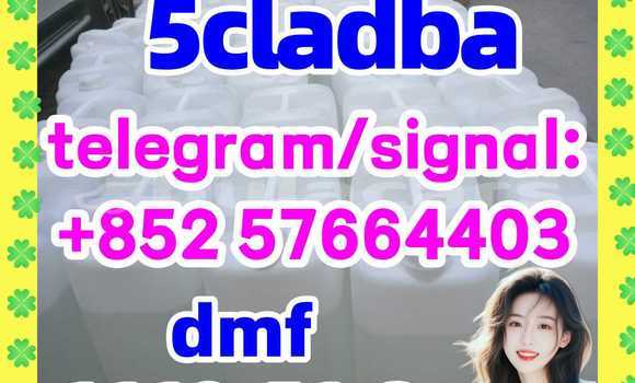 Medium with watermark 510