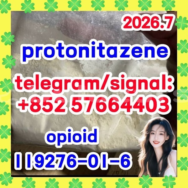 Big with watermark p1