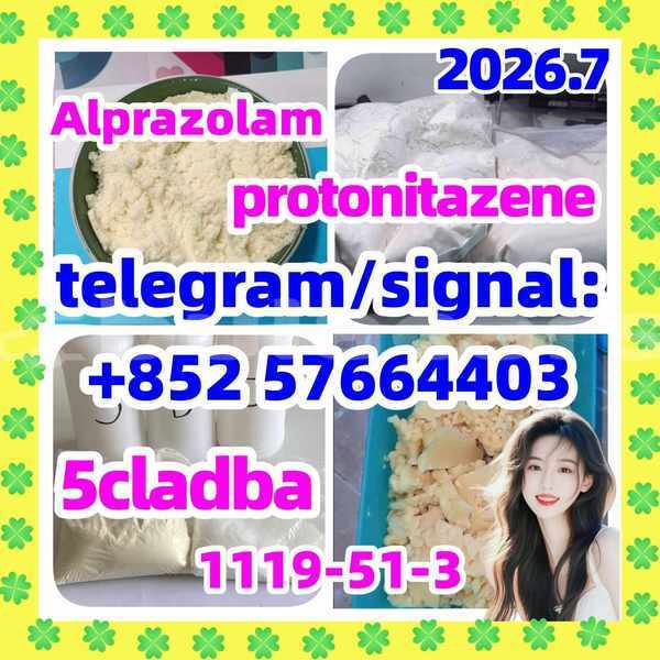 Big with watermark z1