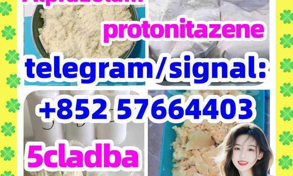 Medium with watermark z1