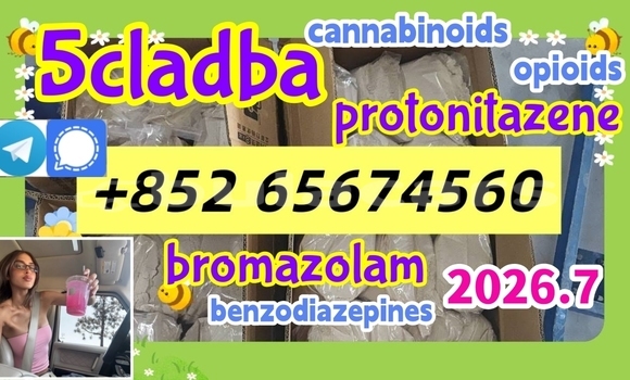 Acheter Protonitazene CAS à Korokade, Northern Acheter Protonitazene CAS à Korokade, Northern