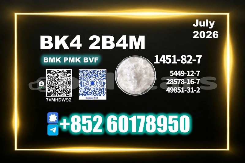 Big with watermark bk4 2b4m cas 1451 82 7 reliable export supplier