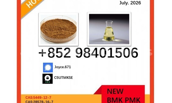 Medium with watermark 5449 113