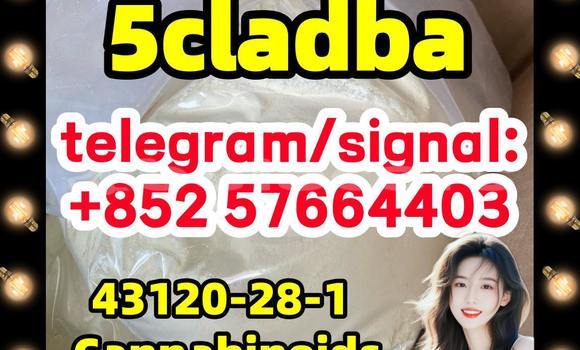 Medium with watermark 57