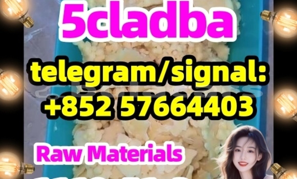 Medium with watermark 58