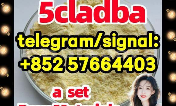 Medium with watermark 59
