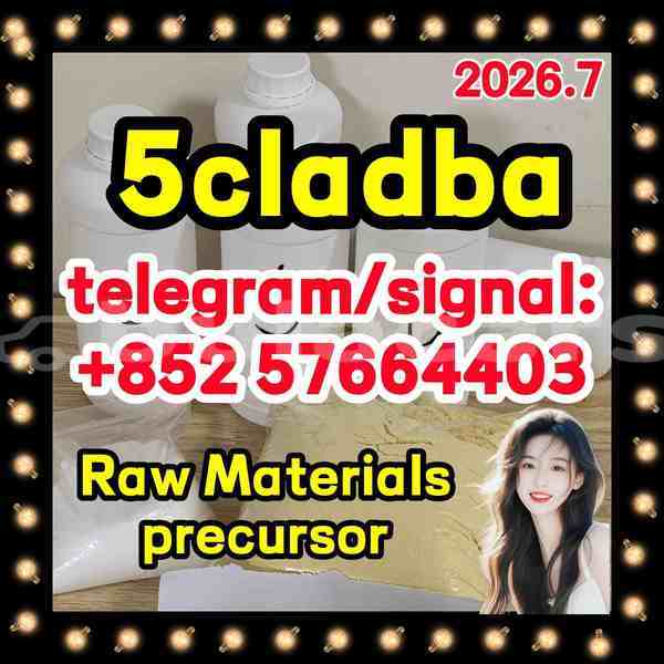 Big with watermark 55