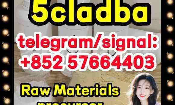 Medium with watermark 55