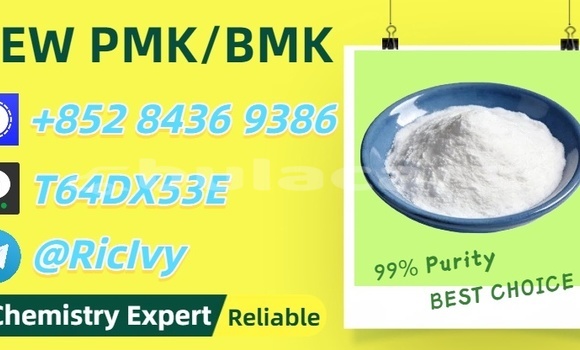 Buy Used Coggiola T Rex Black Car in Komave in Western Buy Used Coggiola T Rex Black Car in Komave in Western
