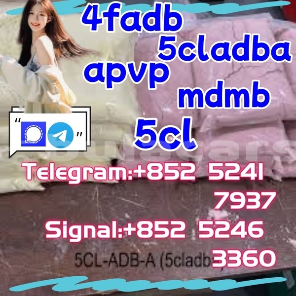 Big with watermark aeon cobra western ba 27936