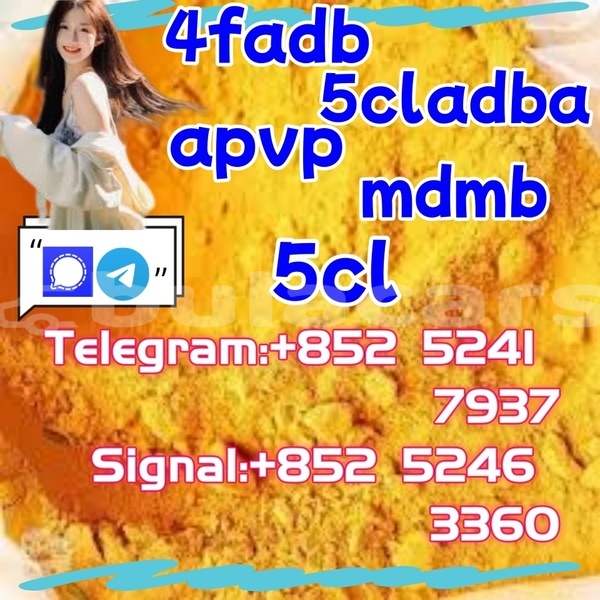 Big with watermark adler 1902 western barotu 27938