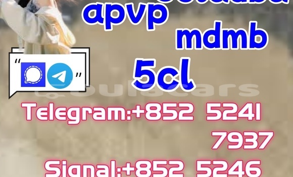 Buy New Adler 1902 Beige Bike in Barotu in Western Buy New Adler 1902 Beige Bike in Barotu in Western