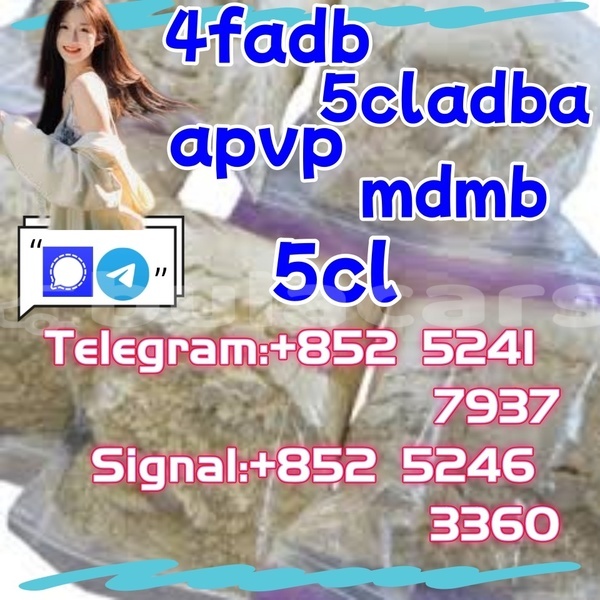 Big with watermark adler 1902 western barotu 27943